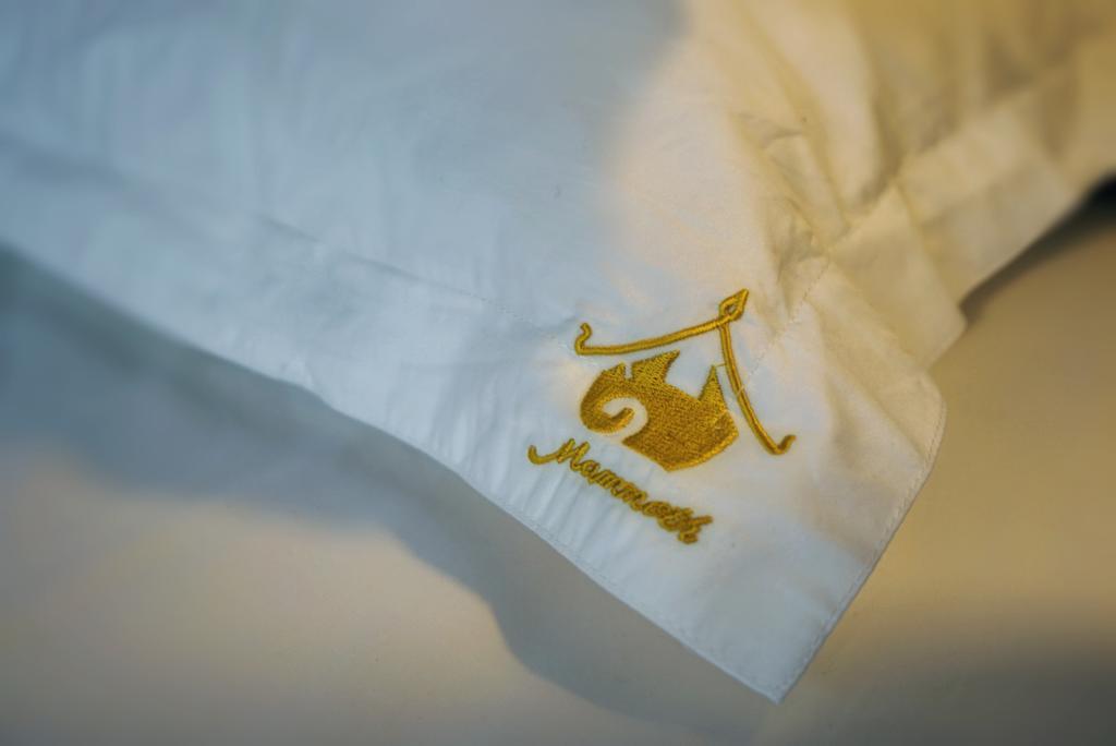 Mammoth Boutique Hotel شيانغ ماي المظهر الخارجي الصورة
