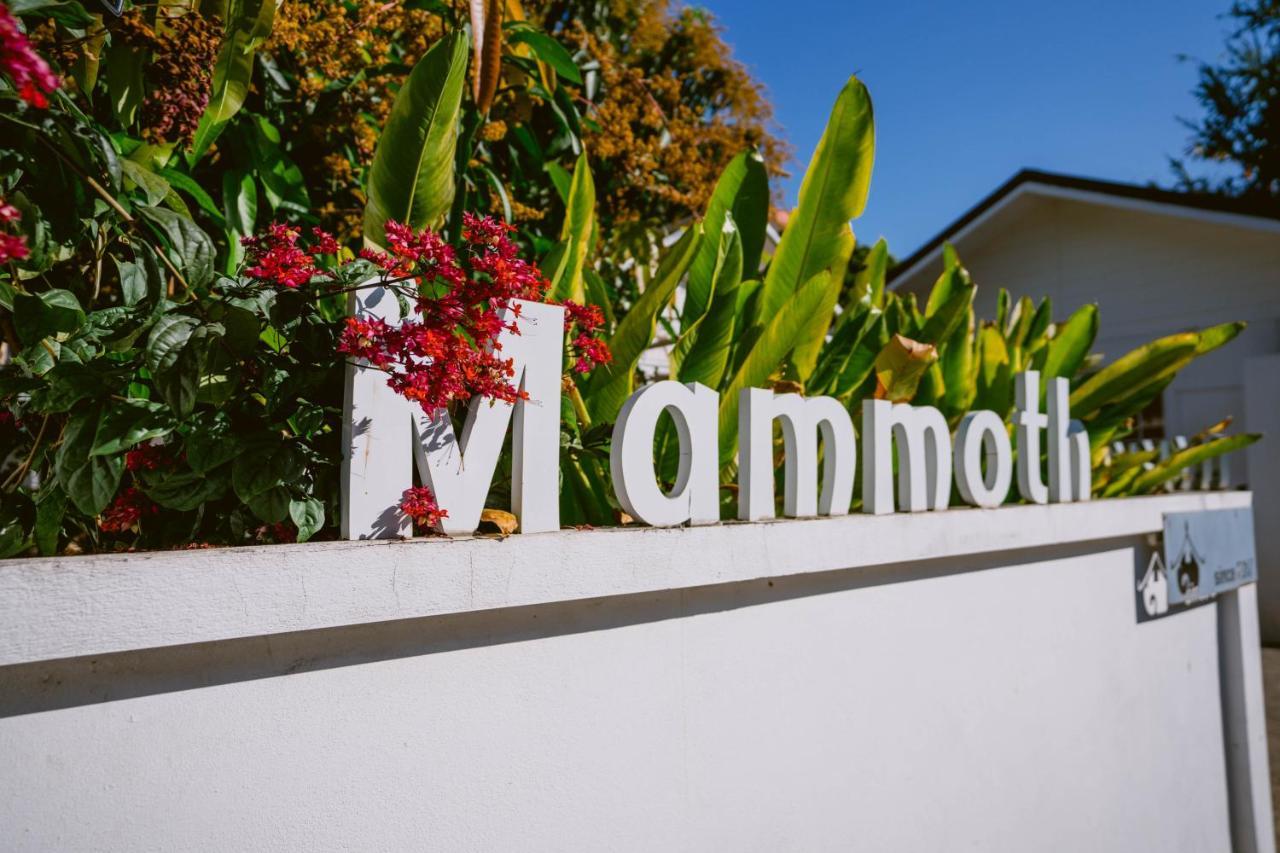Mammoth Boutique Hotel شيانغ ماي المظهر الخارجي الصورة